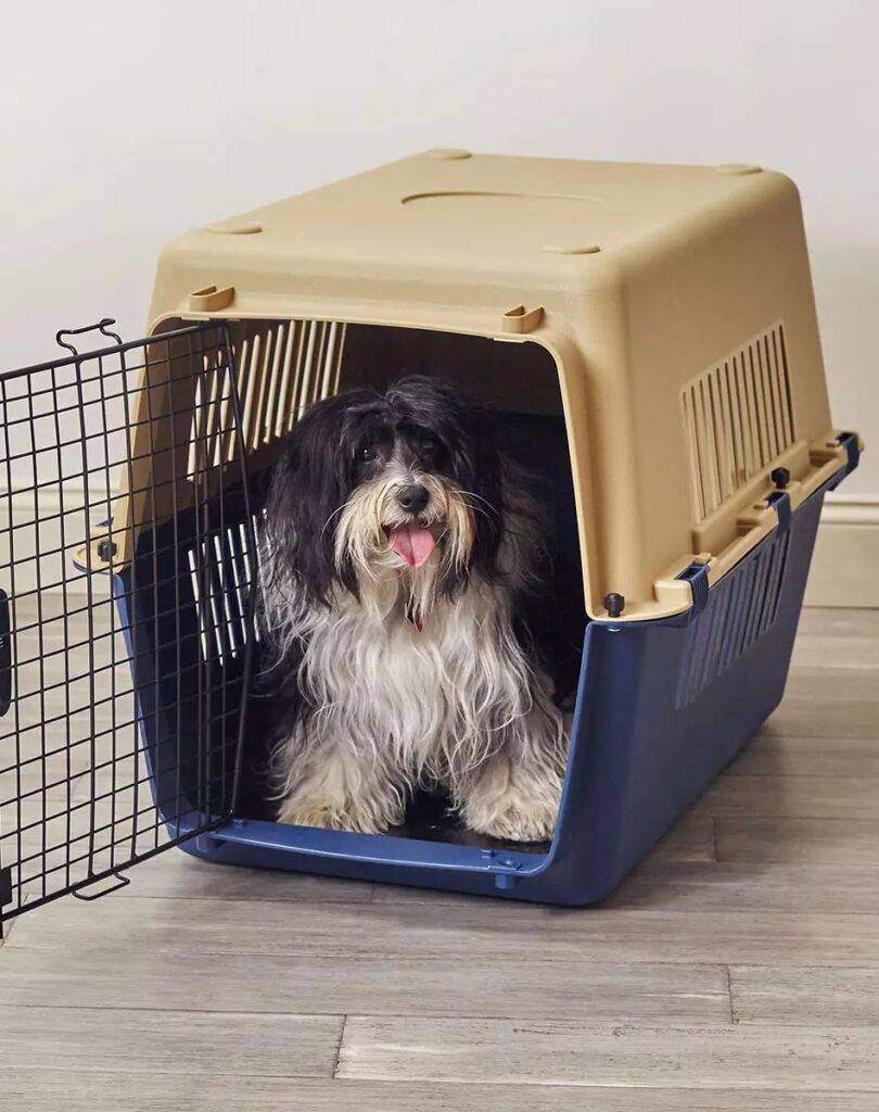 Plastic Travel Kennels for pets